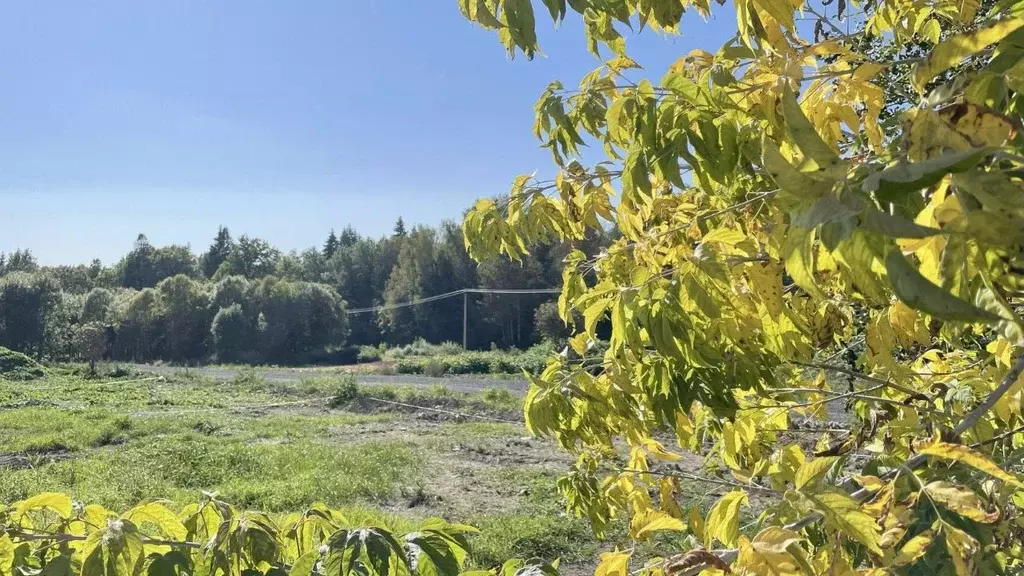 Участок в Московская область, Наро-Фоминский городской округ, Кедрица ... - Фото 1