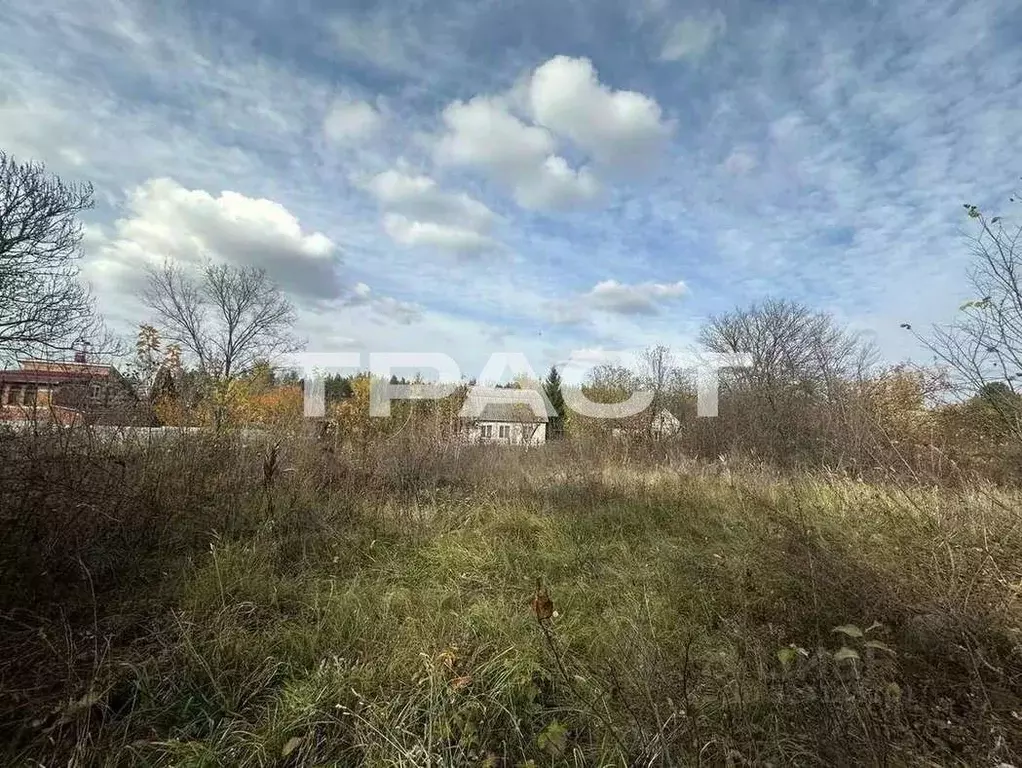 Участок в Воронежская область, Рамонский район, Горожанское с/пос, ... - Фото 2