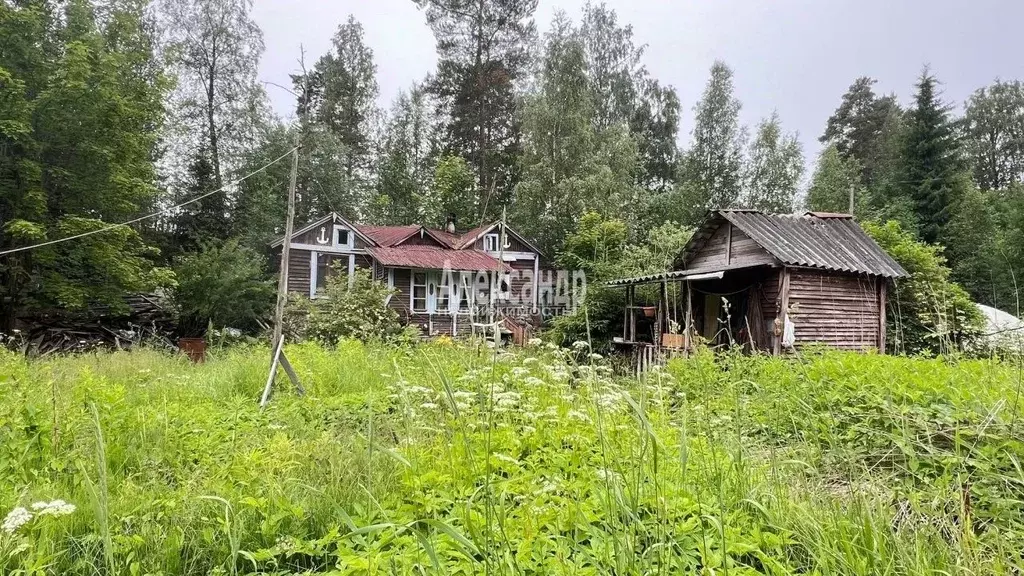 Участок в Ленинградская область, Выборг Большой Лог СНТ, ул. Малая ... - Фото 0