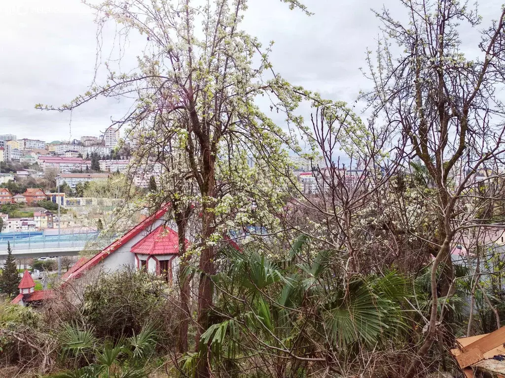 Участок в Сочи, микрорайон Новый Сочи, Калужская улица, 20 (5 м) - Фото 2