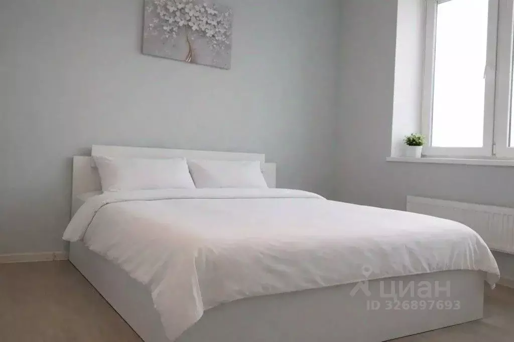 1-к кв. Московская область, Королев Октябрьский бул., 26 (20.0 м) - Фото 2