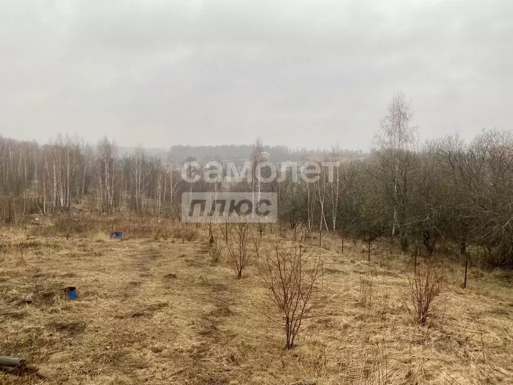 Участок в Курская область, Курский район, Нижнемедведицкий сельсовет, ... - Фото 1
