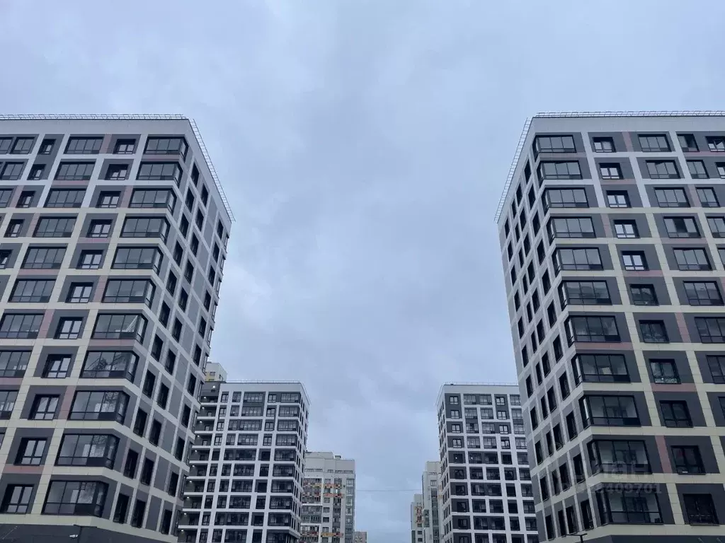 1-к кв. Санкт-Петербург ул. Среднерогатская, 11к2 (41.45 м) - Фото 2