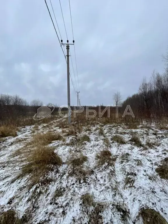 Участок в Тюменская область, Тюменский район, с. Горьковка Сибирская ... - Фото 0