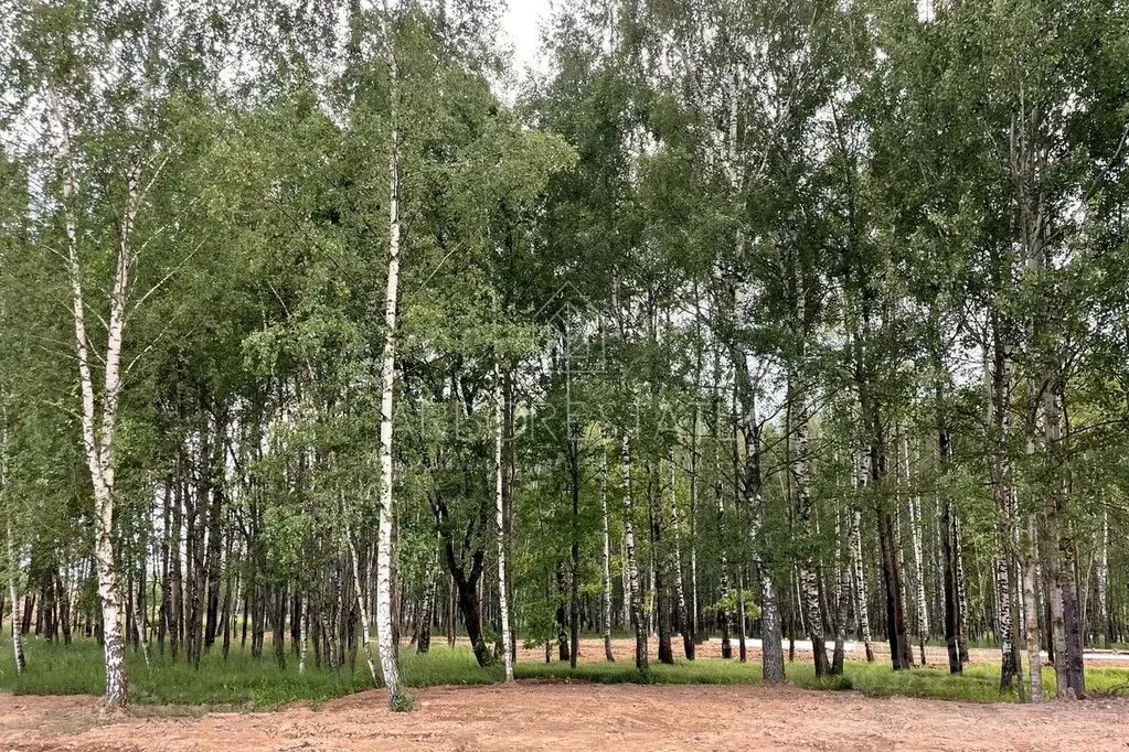 Участок в Московская область, Красногорск городской округ, д. ... - Фото 1