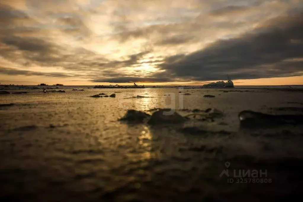Участок в Новосибирская область, Новосибирский район, Кубовинский ... - Фото 1