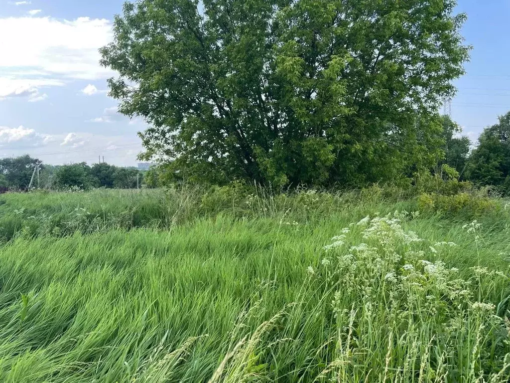 Участок в Московская область, Воскресенск городской округ, д. ... - Фото 0