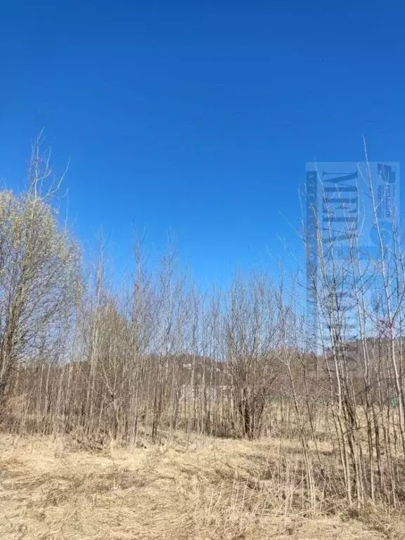 Участок в Нижегородская область, Богородский муниципальный округ, д. ... - Фото 0