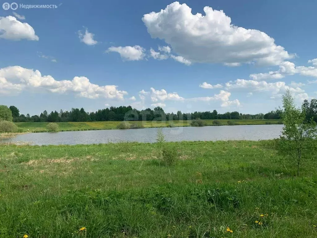Участок в Ярославская область, Борисоглебский муниципальный округ, ... - Фото 1
