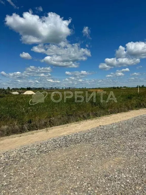 Участок в Тюменская область, Тюменский район, с. Чикча Садовая ул. ... - Фото 1