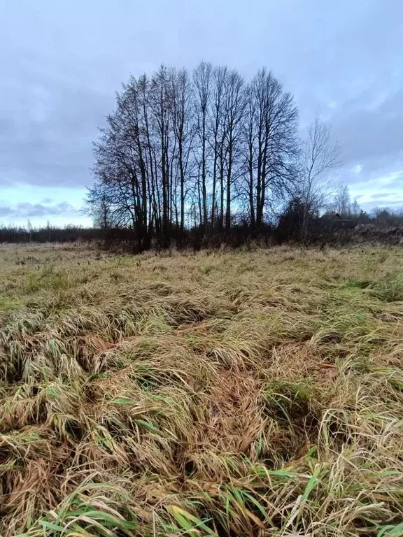 Участок в Псковская область, Псковский район, Ершовская волость, д. ... - Фото 2