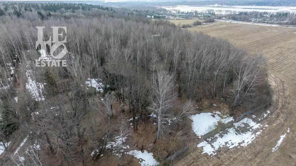 Участок, 250 сот., сельхоз (снт или днп) - Фото 2