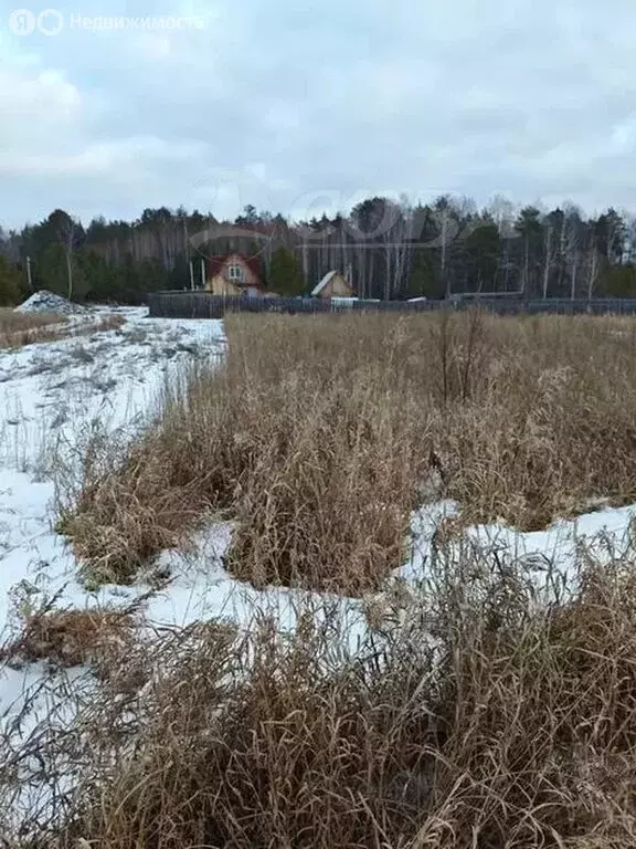 Участок в Свердловская область, Талица (12.5 м) - Фото 1