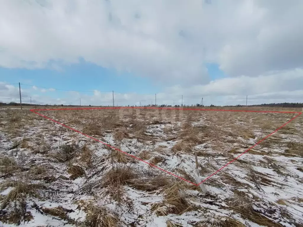 Участок в Вологодская область, пос. Заря  (15.0 сот.) - Фото 2