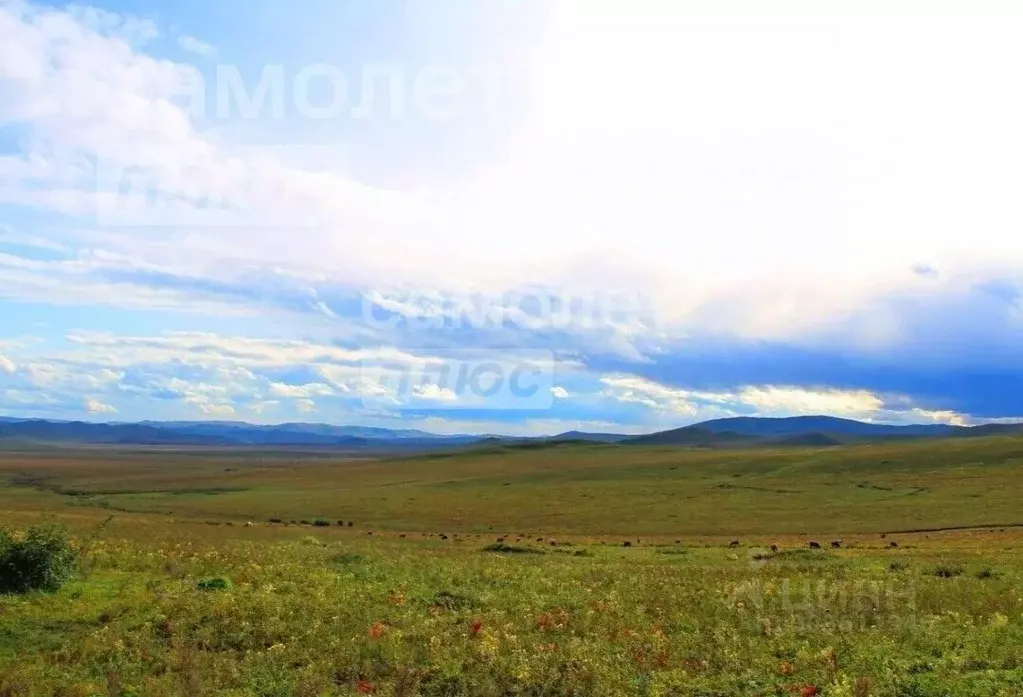 Участок в Забайкальский край, Читинский район, с. Угдан Советская ул. ... - Фото 0