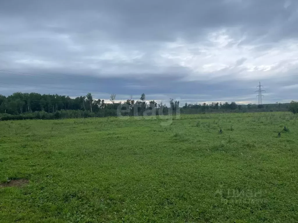Участок в Хабаровский край, Хабаровский район, Тополевское с/пос, с. ... - Фото 1