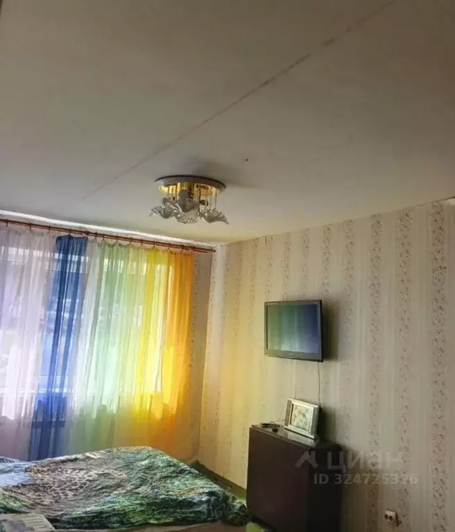 1-к кв. Карелия, Петрозаводск ул. Ригачина, 20А (30.5 м) - Фото 2