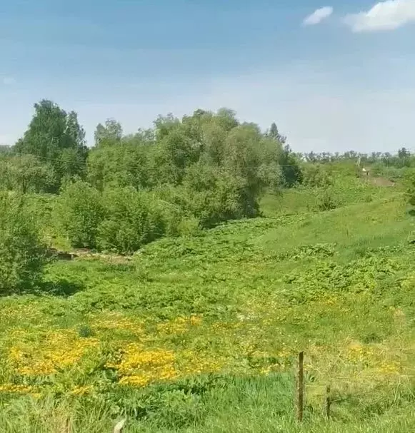 Участок в Московская область, Коломна городской округ, д. Старое  ... - Фото 2