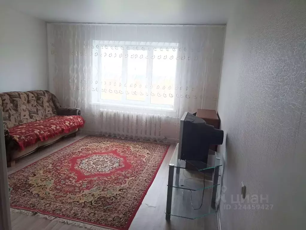 Студия Новосибирская область, Бердск Черемушная ул., 53 (24.0 м) - Фото 2