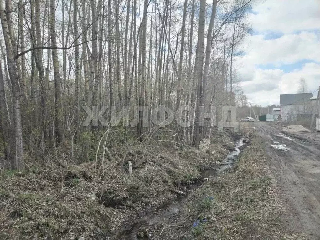 Участок в Новосибирская область, Новосибирск 2-й Спринтерский пер. ... - Фото 1