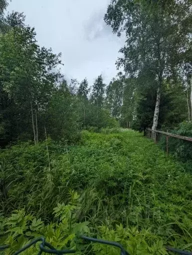 Участок в Ленинградская область, Всеволожский район, Кузьмоловское ... - Фото 0