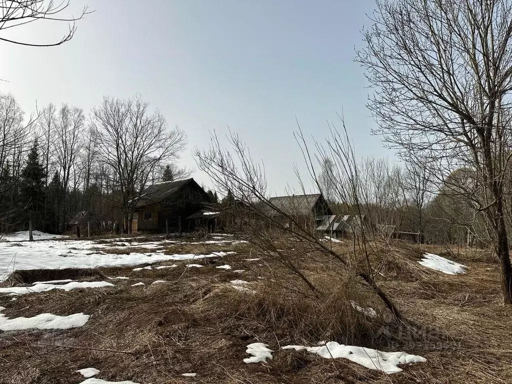 Дом в Новгородская область, Окуловский район, Березовикское с/пос, ... - Фото 1