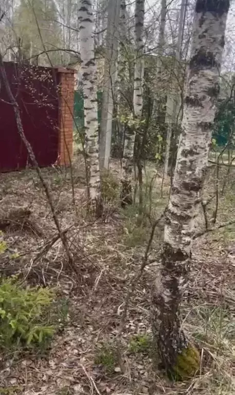 Продается участок в д. Писарево - Фото 1