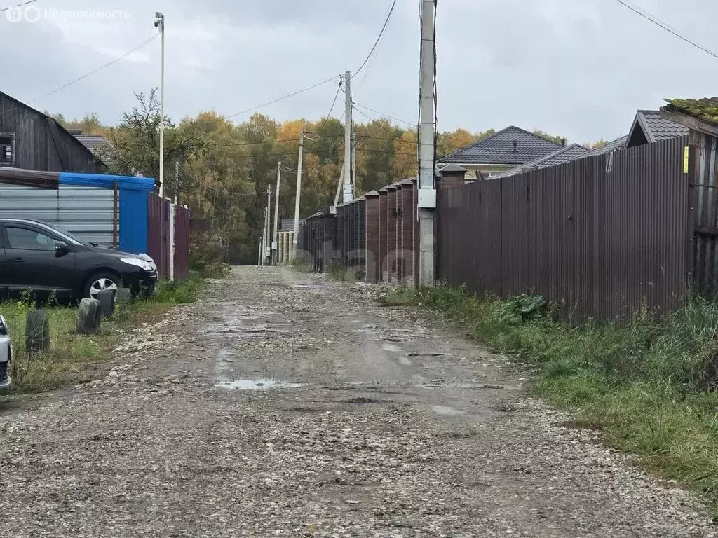 Участок в Толмачево, СДТ Содружество, Берёзовая улица (6 м) - Фото 1