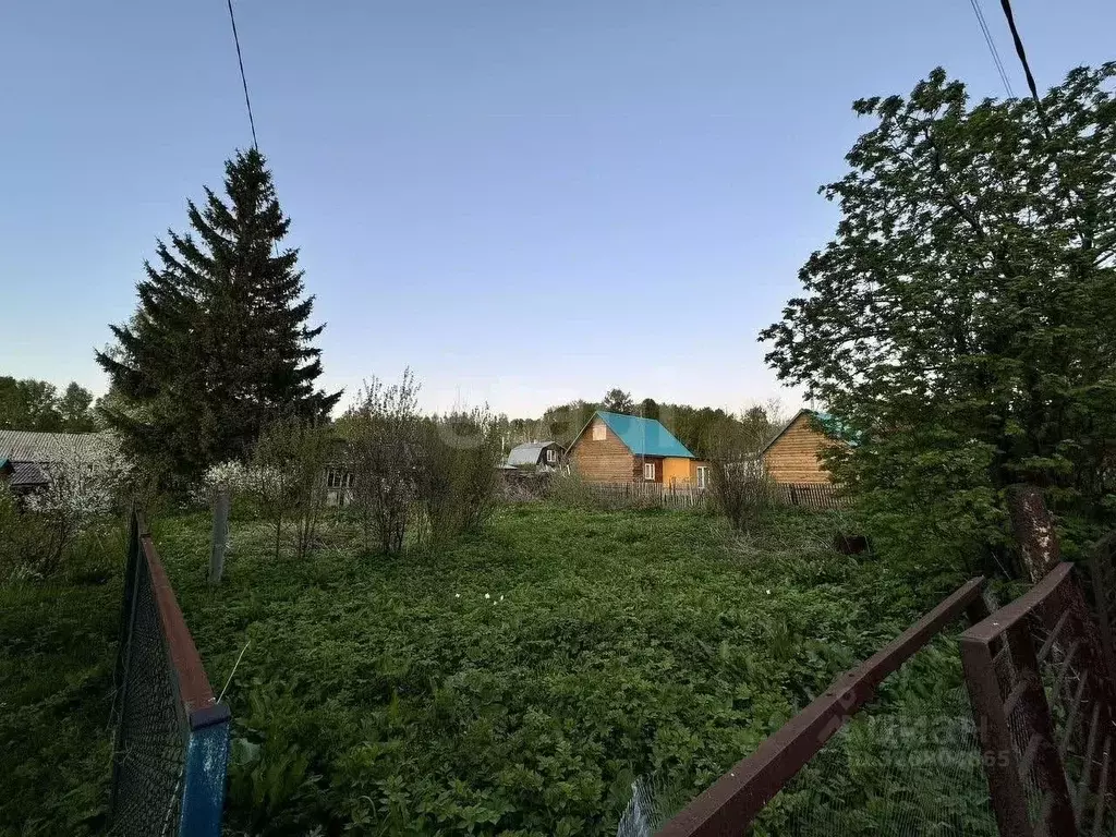 Участок в Новосибирская область, Новосибирск Банковец СТ, 96 (6.0 ... - Фото 1