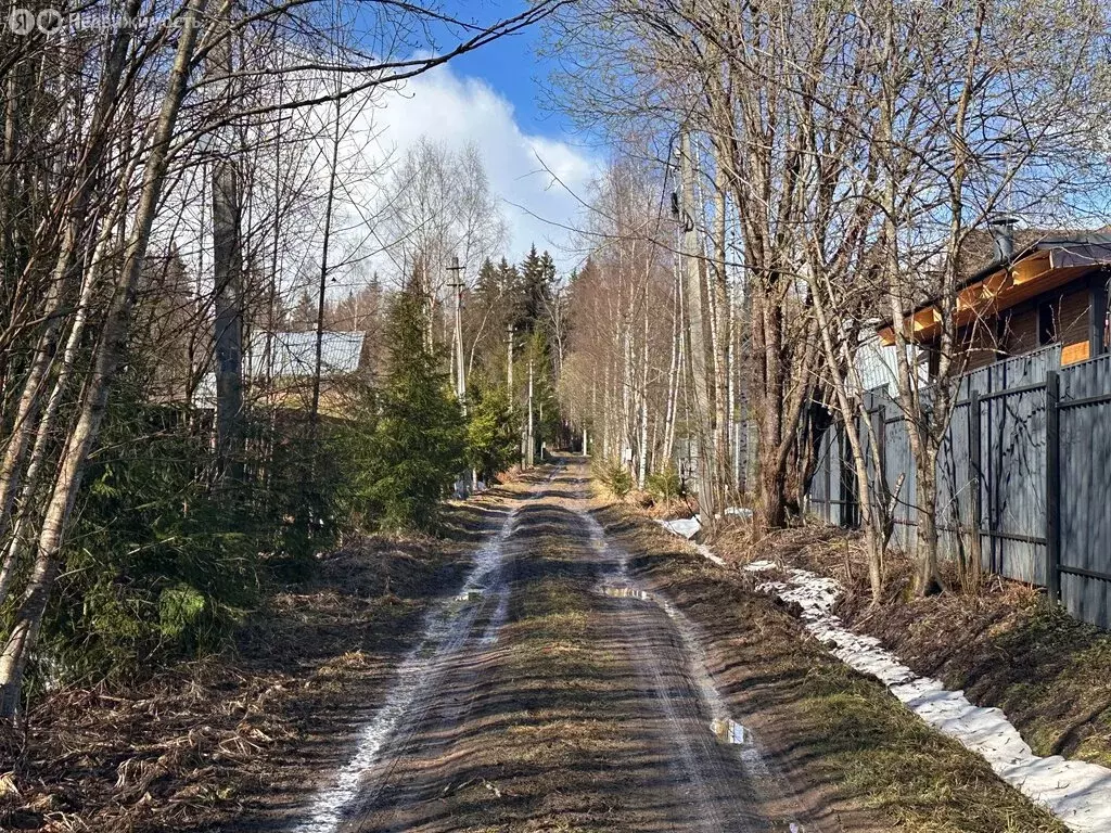 Участок в деревня Себенки, Институтская улица, 7 (15 м) - Фото 2