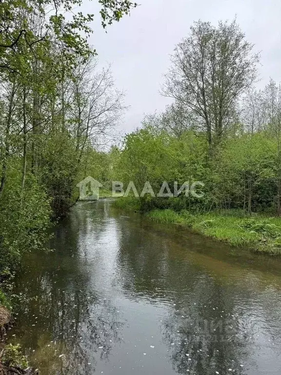 Участок в Ленинградская область, Ломоносовский район, Ропшинское ... - Фото 1