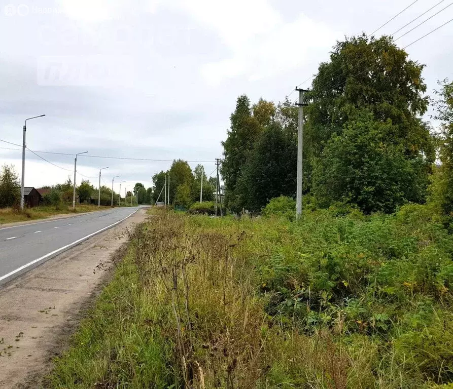 Участок в село Холмогоры, набережная имени Горончаровского, 52 (7.84 ... - Фото 1