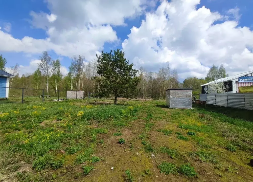 Участок в Московская область, Щелково городской округ, Сады на Реке ... - Фото 2
