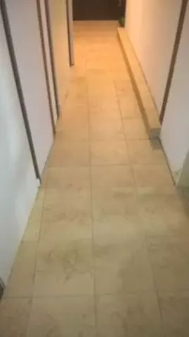 Продается дом в д. Носово - Фото 1