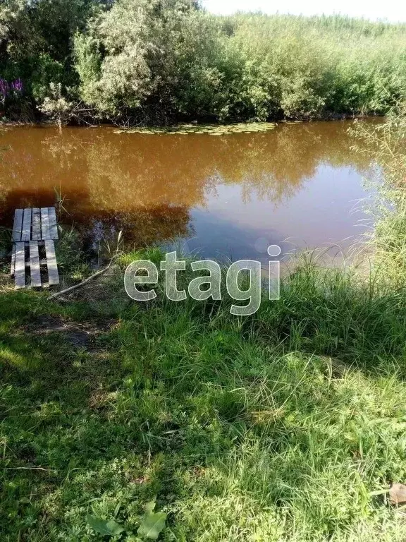 Участок в Тюменская область, с. Большое Сорокино ул. Победы (12.5 ... - Фото 1