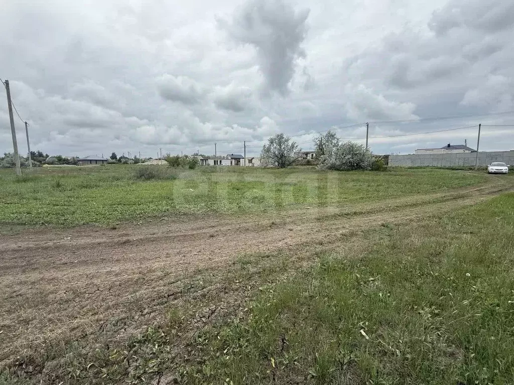 Участок в Саратовская область, Энгельсский район, Красноярское ... - Фото 2