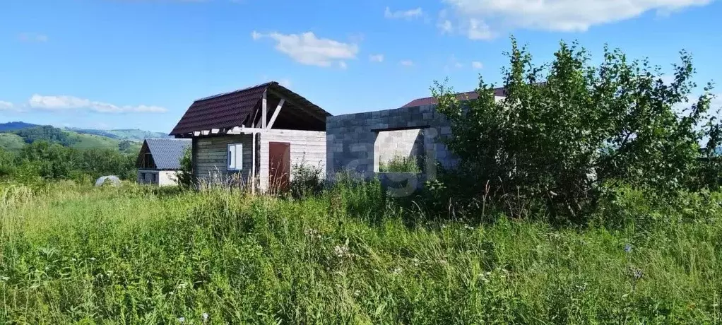 Участок в Алтай, Майминский район, с. Подгорное  (1500.0 сот.) - Фото 1