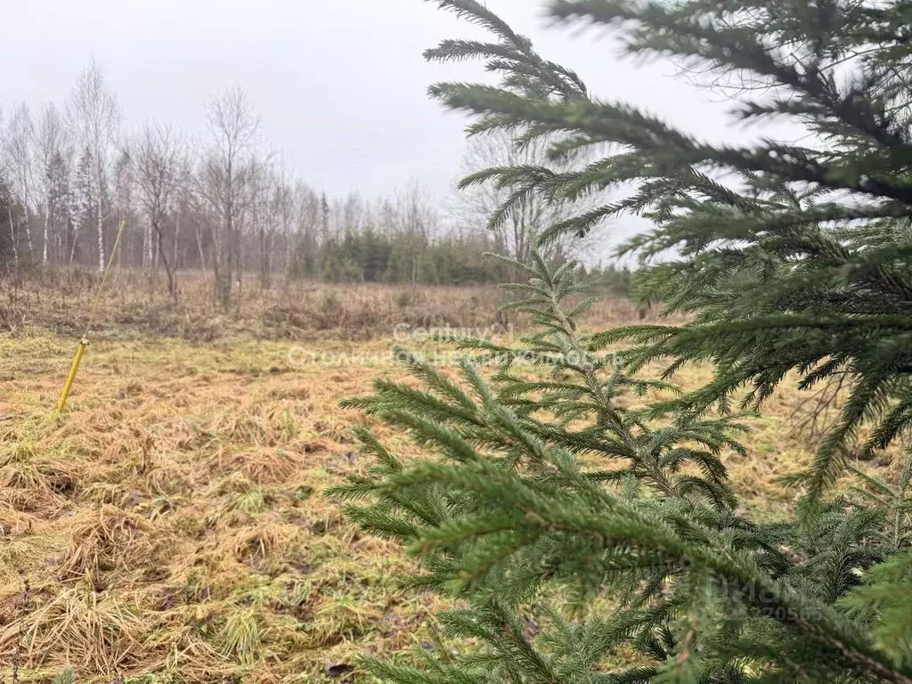 Участок в Московская область, Клин  (24.8 сот.) - Фото 1