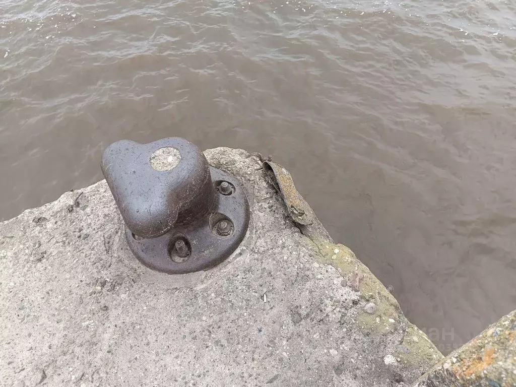 Помещение свободного назначения в Вологодская область, Вашкинский ... - Фото 1