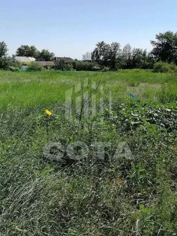 Участок в Воронежская область, с. Новая Усмань ул. Нахимовская (6.7 ... - Фото 2