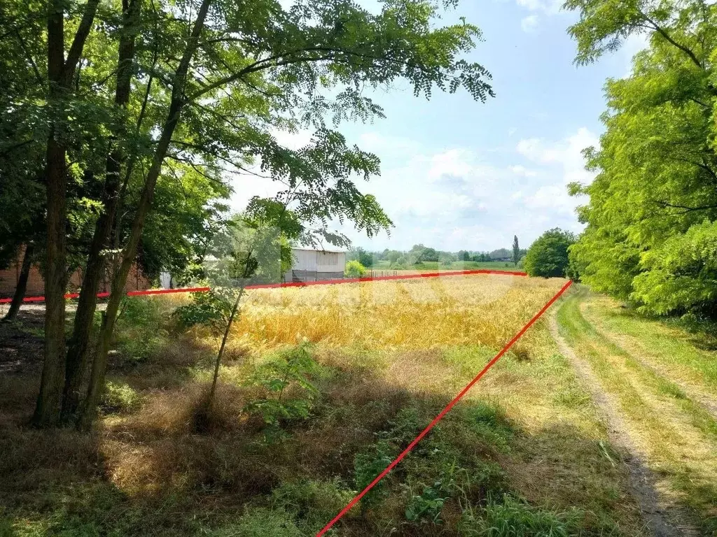 Участок в Краснодарский край, Кореновский район, Братковское с/пос, ... - Фото 1