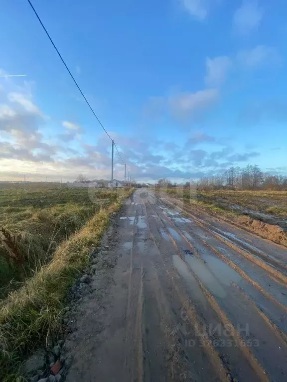 Участок в Калининградская область, Гурьевский муниципальный округ, ... - Фото 1