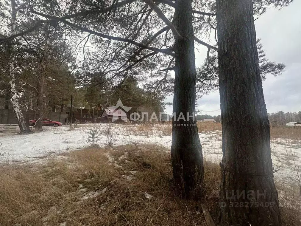 Участок в Иркутская область, Усолье-Сибирское ул. Вишневая (9.6 сот.) - Фото 1