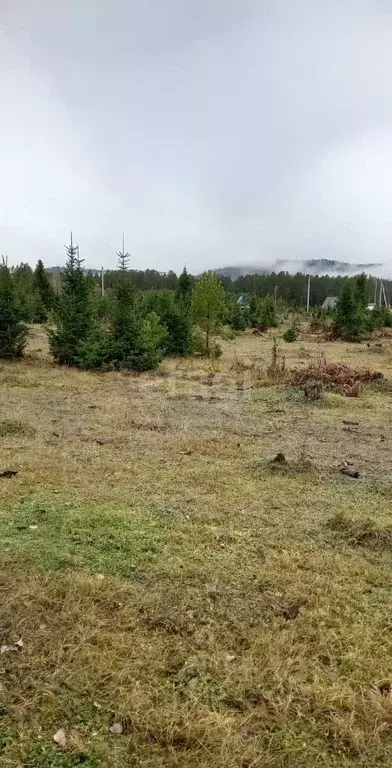 Участок в Алтай, Турочакский район, с. Турочак ул. Соломаткиной (10.5 ... - Фото 1