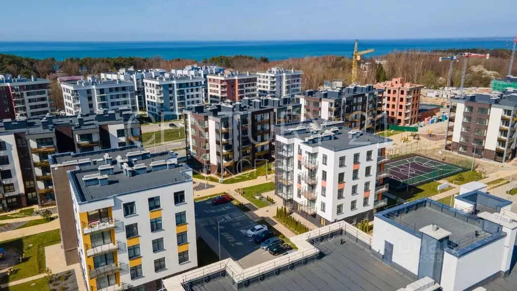 1-к кв. Калининградская область, Светлогорск Ольховая ул., 32к2 (45.0 ... - Фото 1