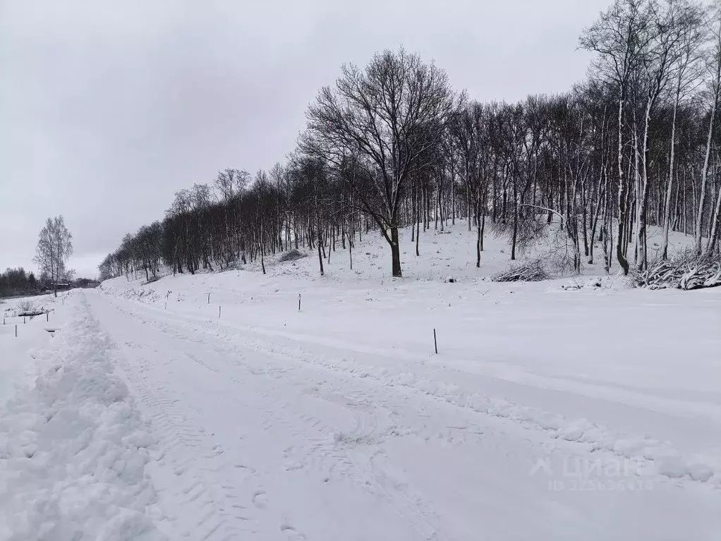 Участок в Московская область, Дмитровский муниципальный округ, д. ... - Фото 2
