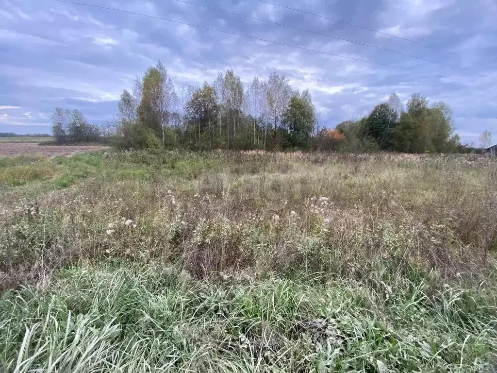 Участок в Костромская область, Красносельский район, Сидоровское ... - Фото 1