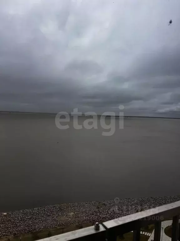 2-к кв. Санкт-Петербург наб. Миклухо-Маклая, 3к1 (50.5 м) - Фото 2