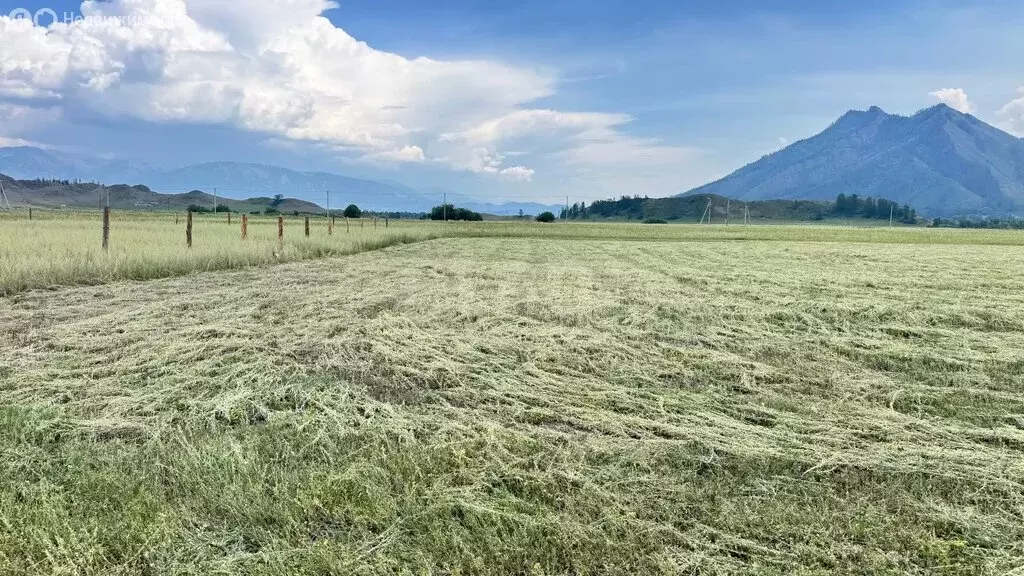 Участок в Усть-Коксинский район, село Тихонькая (10 м) - Фото 2