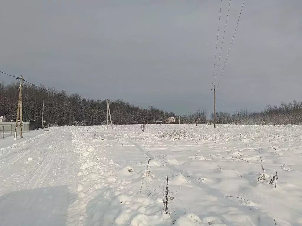 Участок в Новгородская область, Новгородский район, Ракомское с/пос, ... - Фото 0